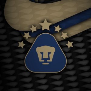 Grafika11