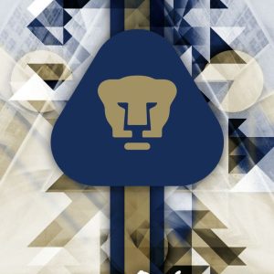 Grafika6