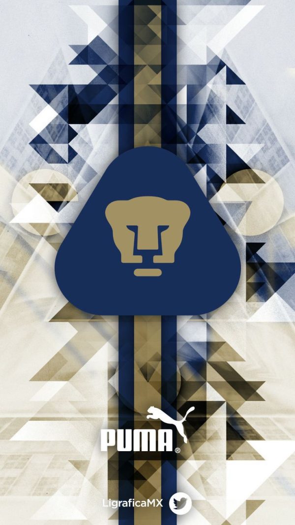 Grafika6